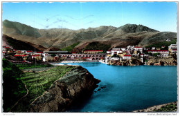 66 CERBERE - Vue Generale Et Le Port. - Cerbere