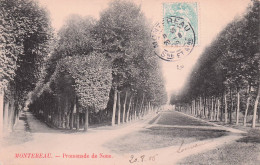 77 MONTEREAU FAULT YONNE PROMENADE DE NOUE - Sonstige & Ohne Zuordnung