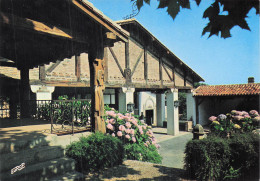 64 ARCANGUES LE THEATRE DE LA NATURE - Autres & Non Classés