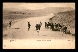 ALGERIE - SCENES ET TYPES - ETUDE SUR UNE ROUTE - Scènes & Types