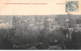 CHATEAUNEUF SUR CHARENTE - La Vallée De La Charente - Très Bon état - Chateauneuf Sur Charente