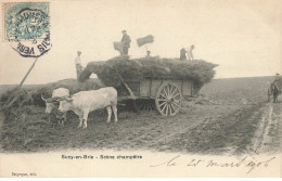 94 SUCY EN BRIE #MK52601 SCENE CHAMPETRE ATTELAGE BOEUFS - Sucy En Brie