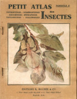 Petit Atlas Des Insectes Fascicule II (1944) De G Colas - Animaux