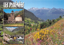 65-PAYSAGE DES PYRENEES-N°2890-D/0319 - Other & Unclassified