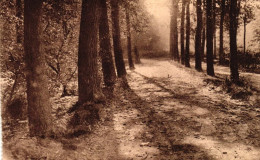 AUDERGHEM / ROUGE CLOITRE - Auderghem - Oudergem