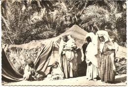 Algérie > Constantinois - Famille Nomade Dans L'Oasis- - Constantine