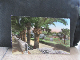 Cpsm   06   VILLEFRANCHE SUR MER    La Promenade , Le Jardin Public - Villefranche-sur-Mer