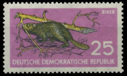 DDR 1959 Nr 691 Postfrisch SB91C86 - Ungebraucht