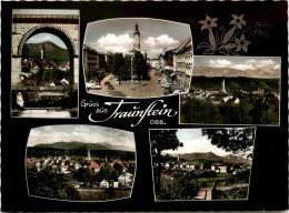 Gruss Aus Traunstein - Traunstein