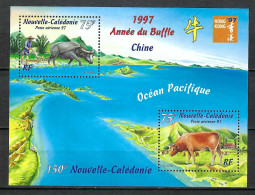 NOUVELLE CALEDONIE B&F Ca.1997: B&F Neuf* - Blocks & Kleinbögen