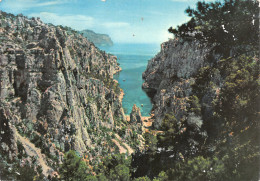 13-CASSIS-N°3946-D/0021 - Cassis