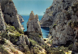 13-CASSIS SUR MER-N°3948-D/0197 - Cassis