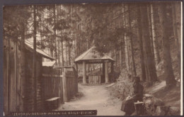 RO 83 - 25696 ZIZIN, Brasov, Queen Mary Mineral Spring, Romania - Old Postcard, Real Photo - Used - 1930 - Romania