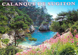 13 - Sugiton - La Calanque De Sugiton - CPM - Voir Scans Recto-Verso - Quartiers Sud, Mazargues, Bonneveine, Pointe Rouge, Calanques,