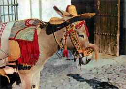 Animaux - Anes - Espagne - Espana - Tipico Burro Andaluz - Donkeys - Burros - Esel - Asini - CPM - Carte Neuve - Voir Sc - Anes