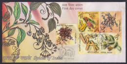 Inde India 2009 FDC Spices Of India Spice Black Pepper Cinnamon Turmeric Coriander Chilly Food Cardamom, First Day Cover - Briefe U. Dokumente