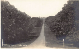 England - WINDSOR CASTLE - Long Walk - REAL PHOTO Photochrom RIGHT BORDER OF THE POSTCARD IS TRIMMED - Windsor Castle