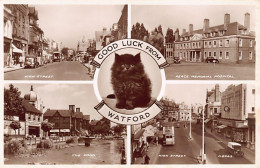England - WATFORD - Good Luck - Black Cat - High Street - Reace National Hospital - The Pond - Hertfordshire