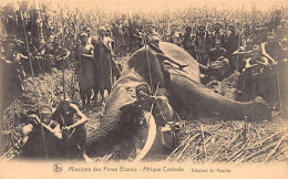 Rwanda - Un éléphant - Ed. Missions Des Pères Blancs - Rwanda