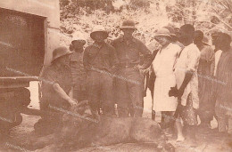 Da673 Cartolina Cpa Retour D'une Chasse Au Lion France - Other & Unclassified