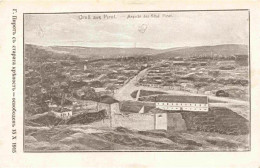 Pirot  Serbija Panorama - Servië