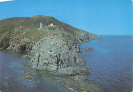 66 PORT VENDRES LE CAP BEAR - Port Vendres