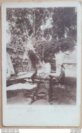 Carte Photo CPA ESPAGNE ARAGON Monasterio De Pedria Foto Laurent Colleccion Canovas - Zaragoza