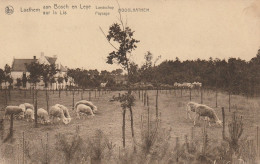 Laathem, Latem, Hooglaathem - Sint-Martens-Latem