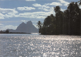 POLYNESIE FRANCAISE BORA BORA ILE DE TAHAA - French Polynesia