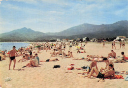 66 ARGELES SUR MER VUE GENERALE DE LA PLAGE - Argeles Sur Mer