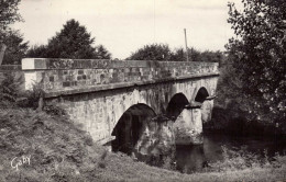 50 Cpsm  DUCEY , 3 , Le Pont Neuf  (14216) - Ducey