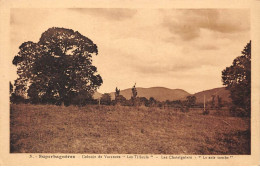 31 - SUPERBAGNERES - SAN44724 - Colonie De Vacances "Les Tilleuls" - Les Châtaigniers - Le Soir Tombe - Superbagneres