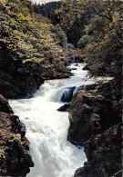 La Franche Comte Pittoresque Environs De CHAMPAGNOLE Cascade A La Perte De L Ain 3(scan Recto-verso) MA431 - Champagnole