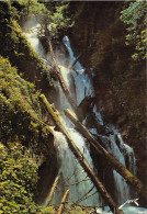 Environs De LUCHON Hospice De France La Cascade Du Parisien 2(scan Recto-verso) MA633 - Luchon