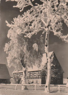 Y9441 - Herzliche Weihnachtsgrüsse - 1961 - Sonstige & Ohne Zuordnung