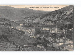 AMELIE LES BAINS - Vue Générale Et Route De Céret - Très Bon état - Amélie-les-Bains-Palalda