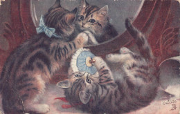 A860 Animals 1906 Oilette Art Kittens Cats Playing Vintage Postcard - Other & Unclassified