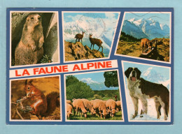 CP Animaux - La Faune Alpine - Other & Unclassified