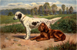 Hunde - Dogs - Chiens