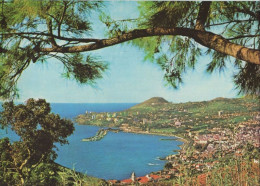 Y122435 - Funchal - Portugal - Vue Orientale - Madeira