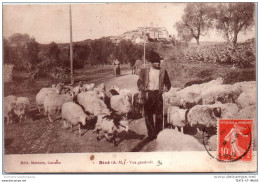 06 BIOT - Vue Generale (berger Et Ses Moutons) - Biot