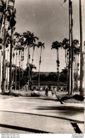 973 CAYENNE - Allee De L'hopital Saint Martial - Cayenne