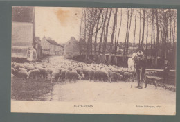 CP - 77 - Claye-Voisin - Troupeau De Moutons - Claye Souilly