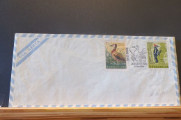 A16/743   FDC  ARGENTINA 1969 - Climbing Birds
