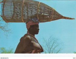 48835Angola, Mulher Cuamato A Caminho Da Pesca. - Angola