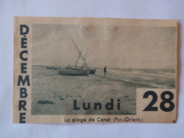 66 LA PLAGE DE CANET   / IMAGE CALENDRIER 1936/1937 12.5/8CM - Canet En Roussillon