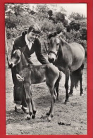 YOUNG GIRL WITH FOAL + MOTHER   RP. Pu 1961 - Chevaux