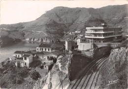 66-CERBERE-N°3519-B/0287 - Cerbere
