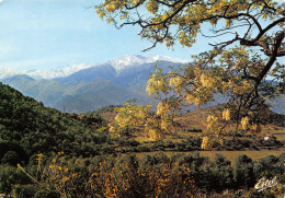 66-CANIGOU-N°TB3536-B/0043 - Autres & Non Classés