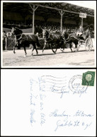 Ansichtskarte  Stadion Pferde Parade Wagen 1959  Gel. Stempel Bremerhaven - Chevaux